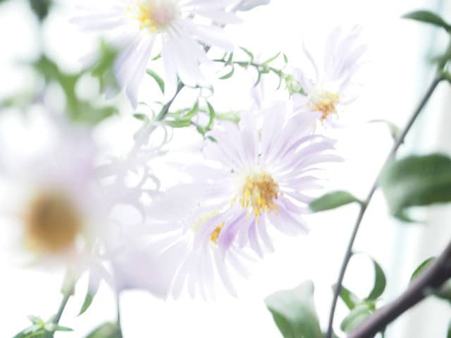 helles bild, entschwindend